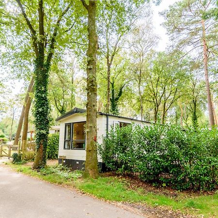 Veluwe Chalet Aan Het Bos - Kids - Pool - Dog Hoenderloo Bagian luar foto