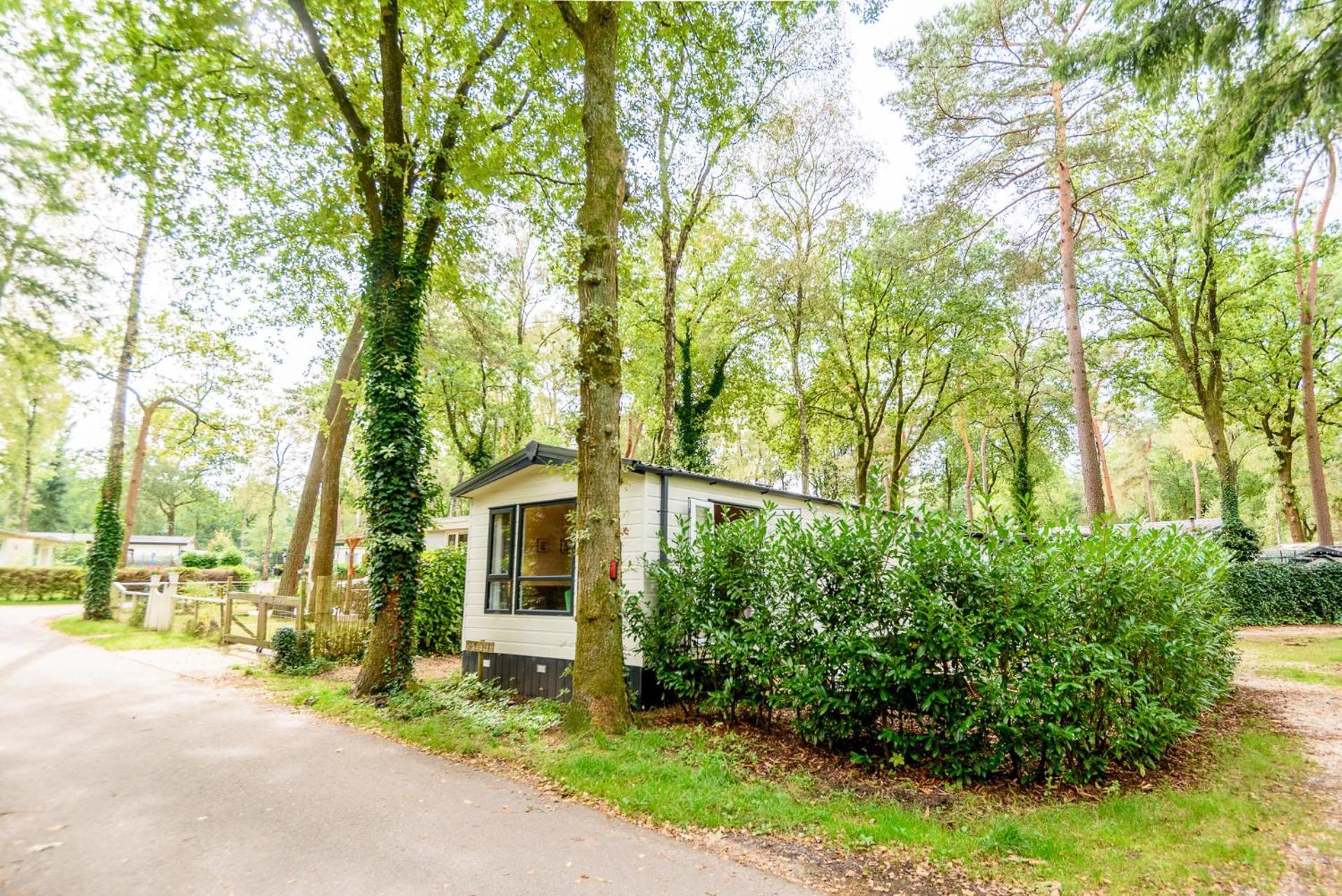 Veluwe Chalet Aan Het Bos - Kids - Pool - Dog Hoenderloo Bagian luar foto